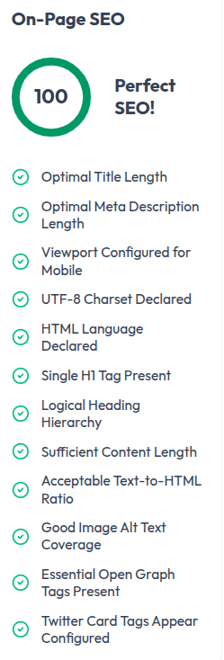 On-page SEO panel scoring the article 100 out of 100